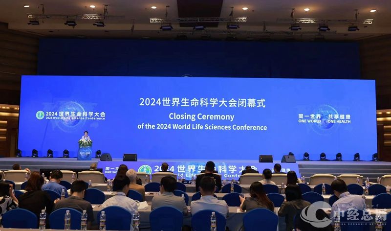 1729504937422565.jpg 03_副本.jpg