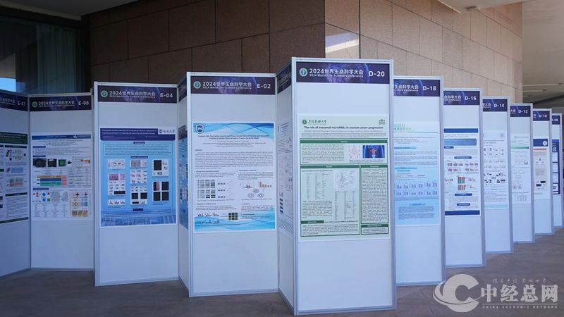 1729504954266101.jpg 04_副本.jpg