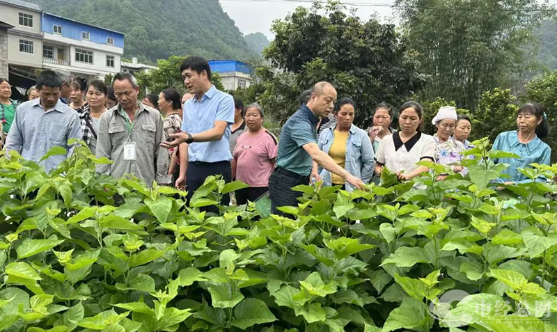 1729541765659423.png 图片5.png