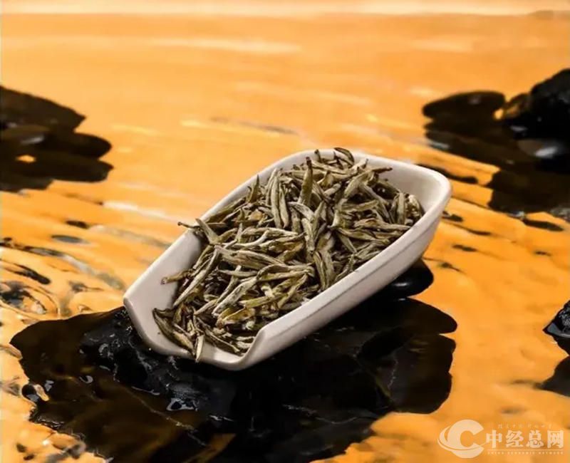 1729572627855433.jpg 4_副本.jpg