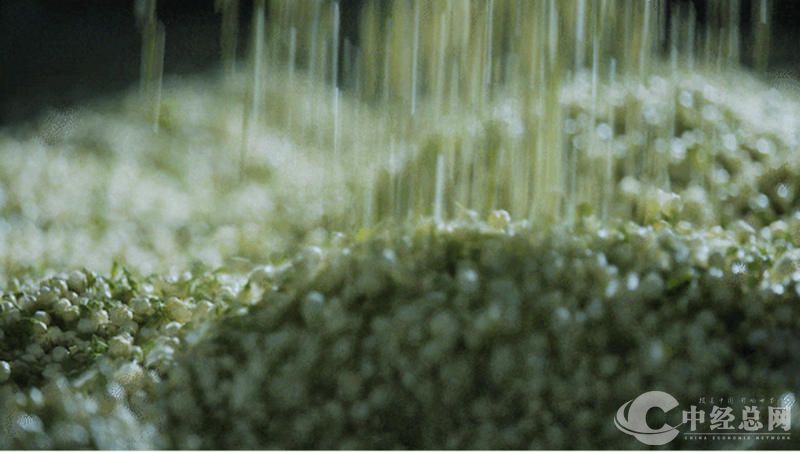 1729572660834437.jpg 7_副本.jpg