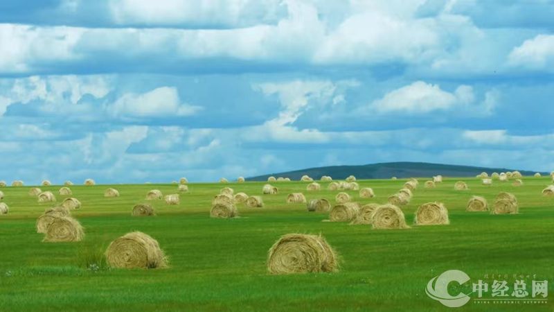 1729582609701100.jpg 04_副本.jpg