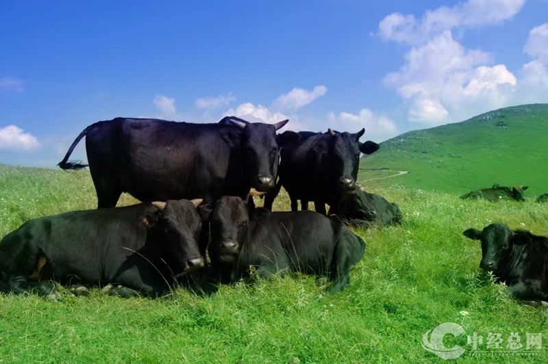 1729582657432789.jpg 05_副本.jpg