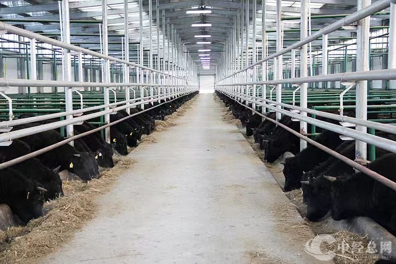 1729582724515802.jpg 07_副本.jpg