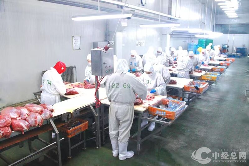 1729582783734769.jpg 09_副本.jpg