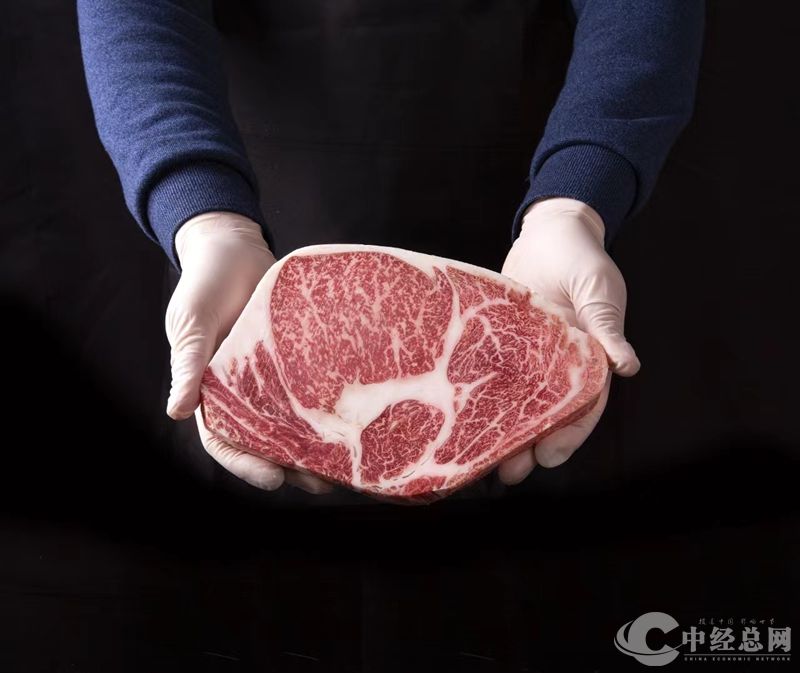 1729582805498295.jpg 10_副本.jpg