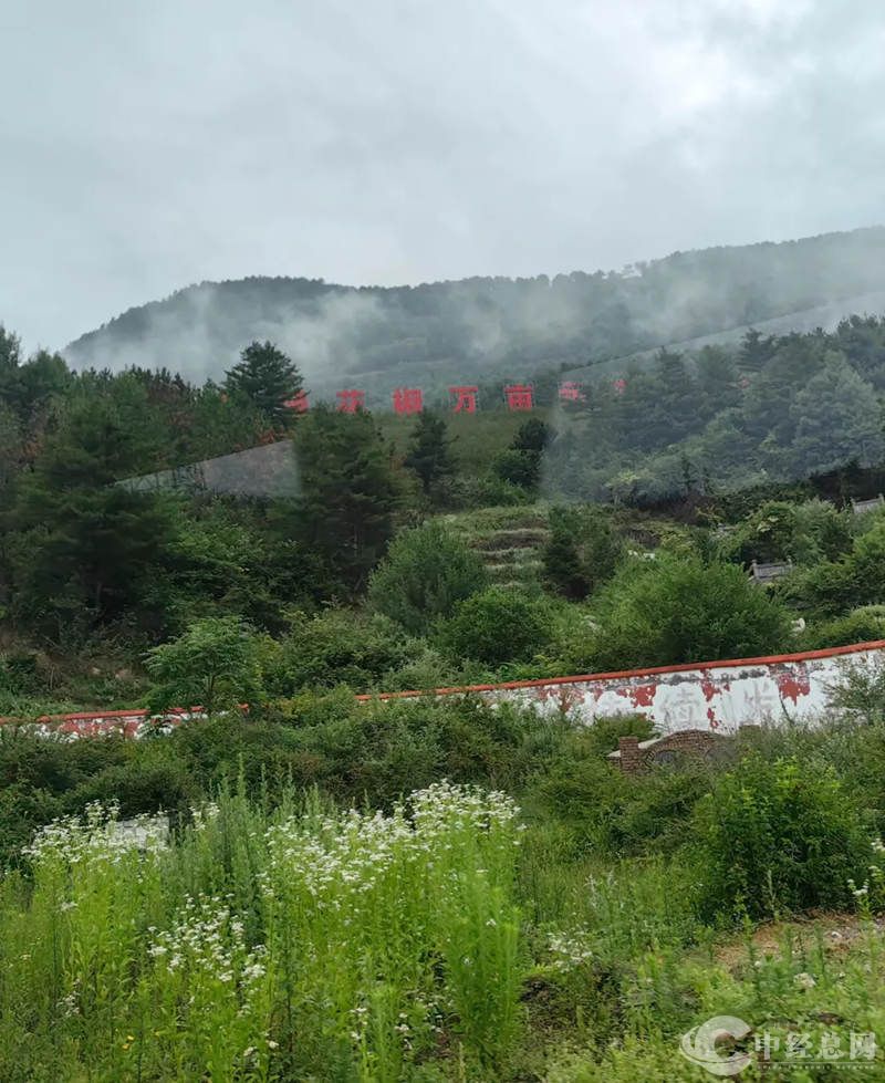 1729607606888584.jpg 1_副本.jpg