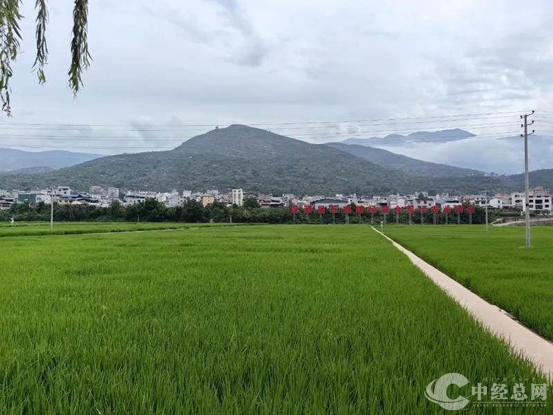 1729607657733899.jpg 2_副本.jpg