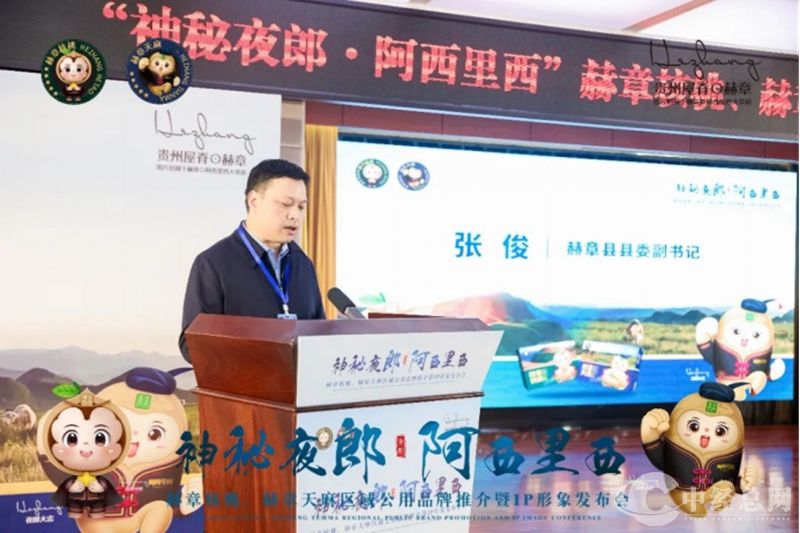 1730006746925815.jpg 03_副本.jpg