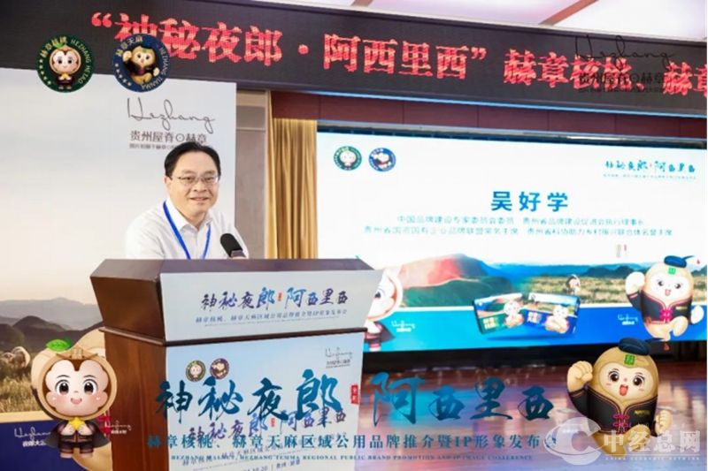 1730006759243619.jpg 04_副本.jpg