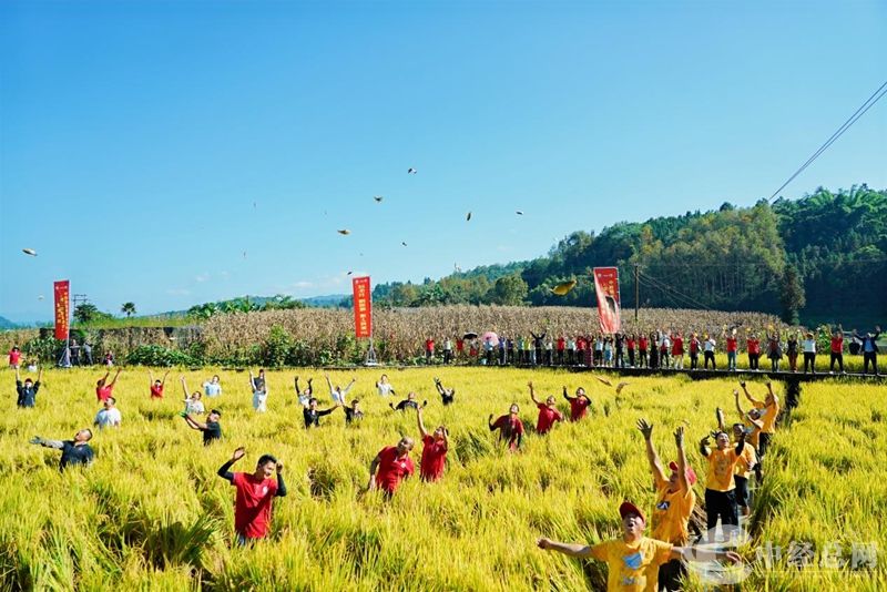 1730287738918859.jpg 04_副本.jpg