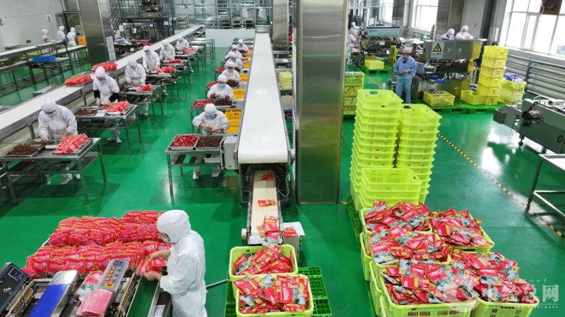 1730437926321380.jpg 2_副本.jpg