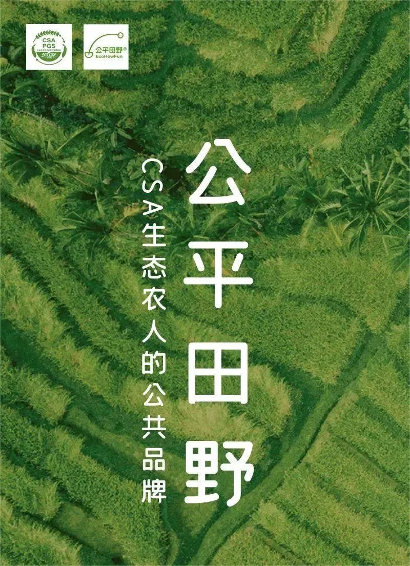 1730447603518044.jpg 10.jpg