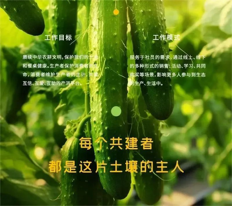 1730447754148083.jpg 13.jpg