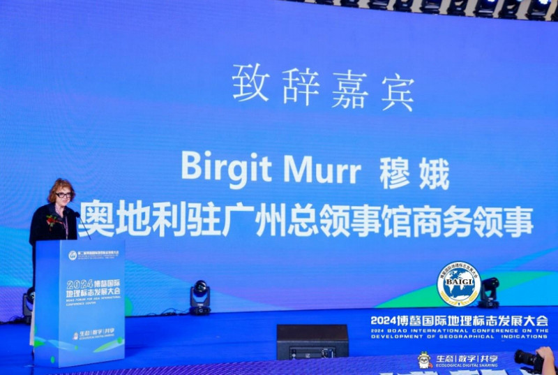 1731212026696579.jpg 9_副本.jpg