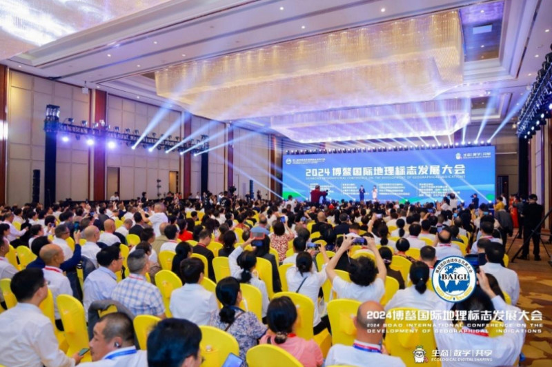 1731212071633366.jpg 14_副本.jpg