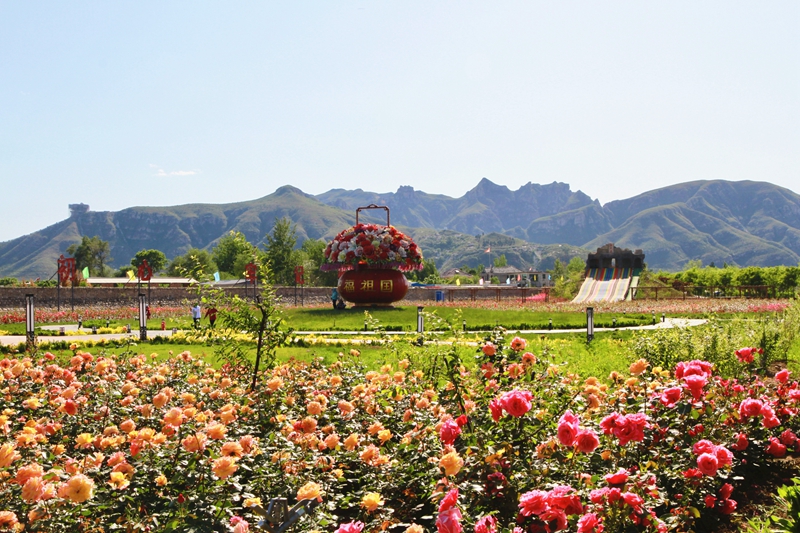 1731212671565838.jpg 3.jpg