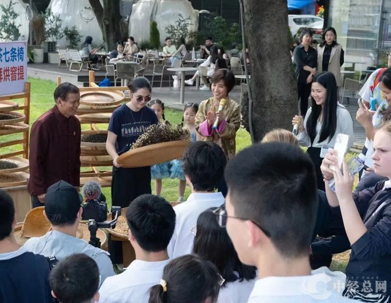 1731854254619677.jpg 13_副本.jpg