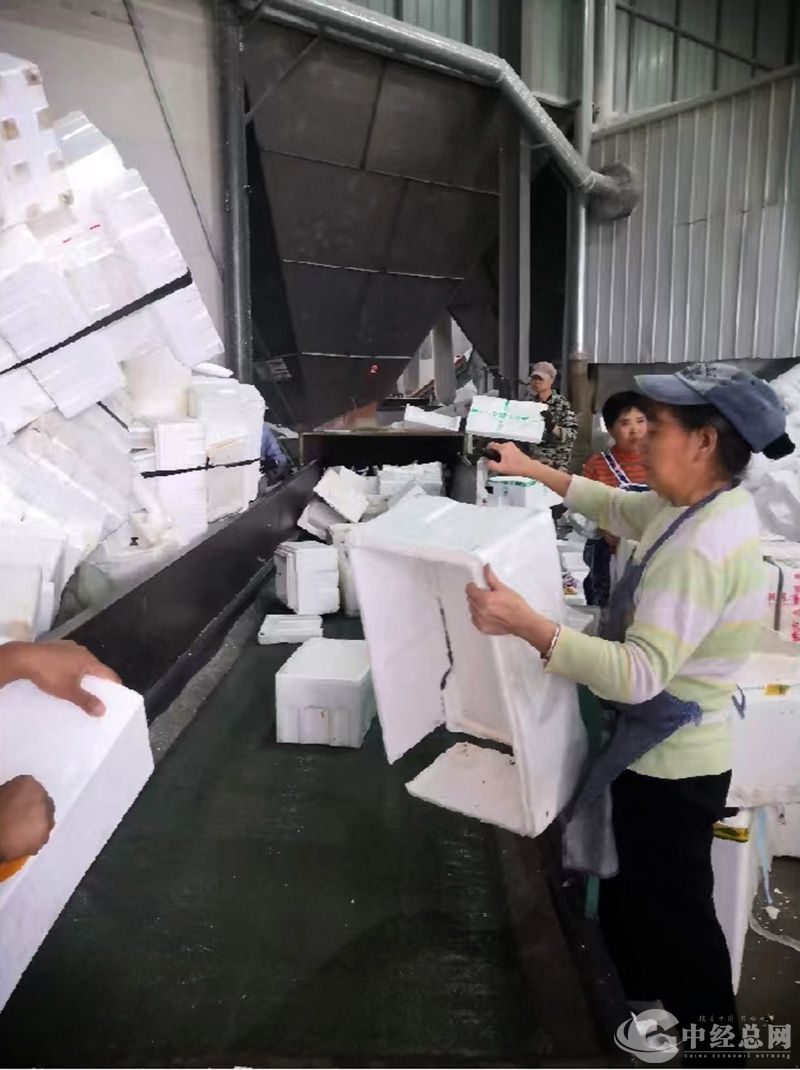 1732036576469092.jpg 4.jpg