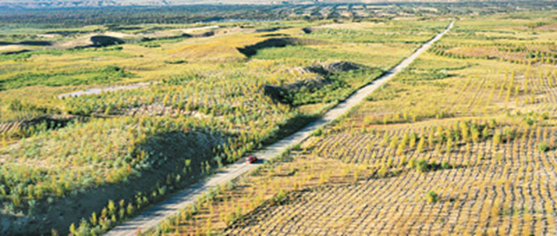 1733996579803210.jpg 1.jpg