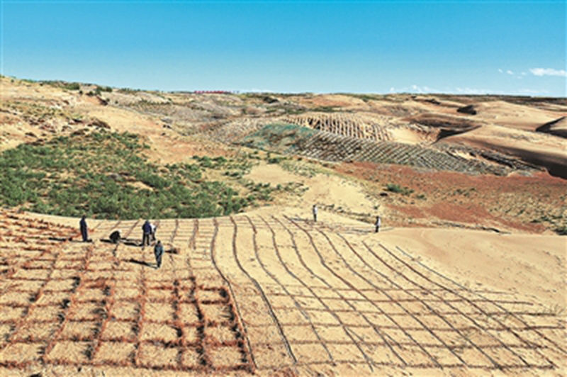 1733996589105482.jpg 2.jpg