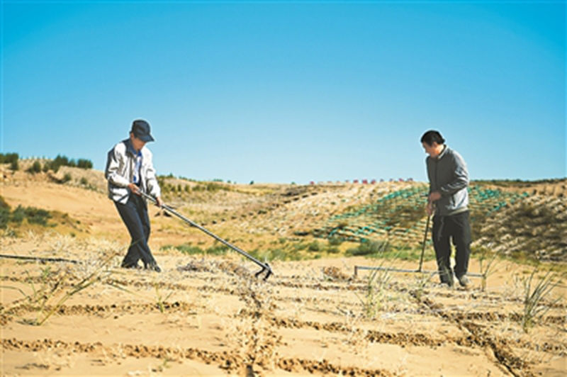 1733996596162794.jpg 3.jpg