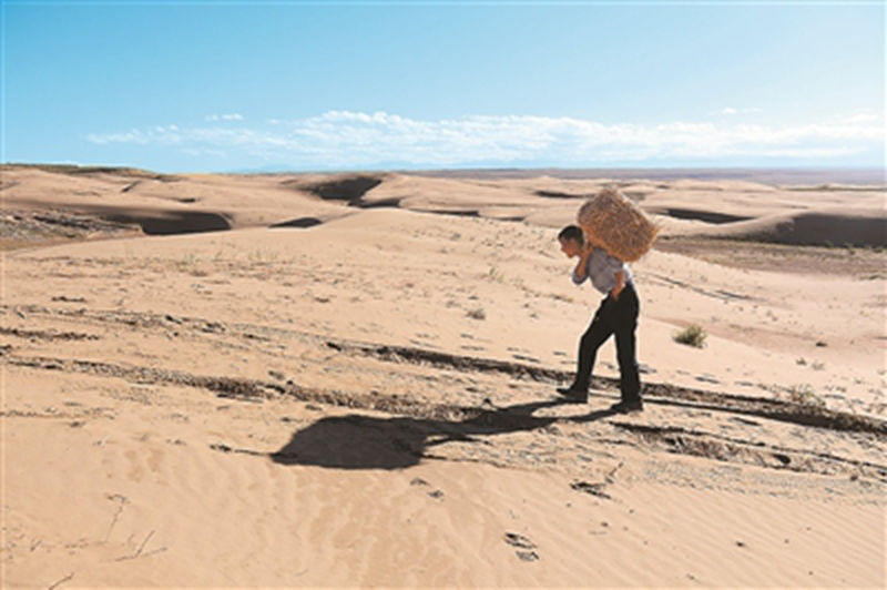 1733996604623394.jpg 4.jpg