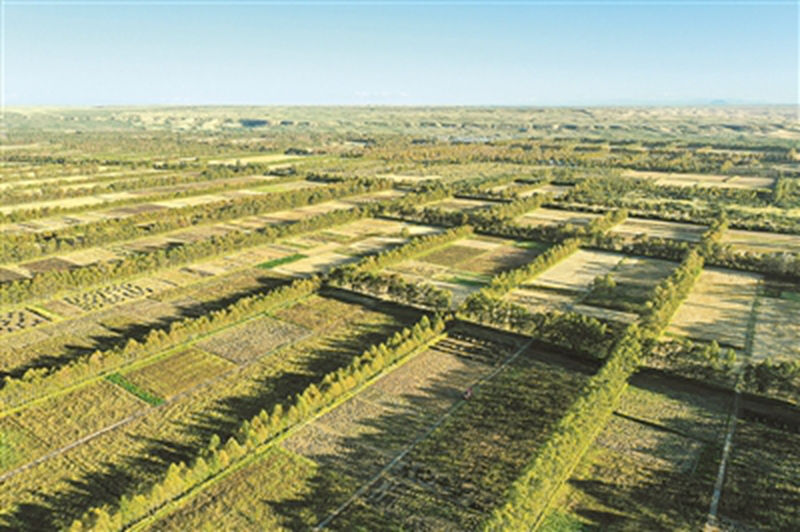 1733996627391049.jpg 7.jpg