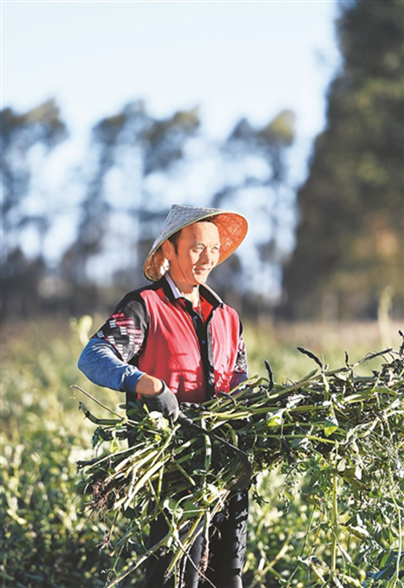 1733996635160534.jpg 8.jpg