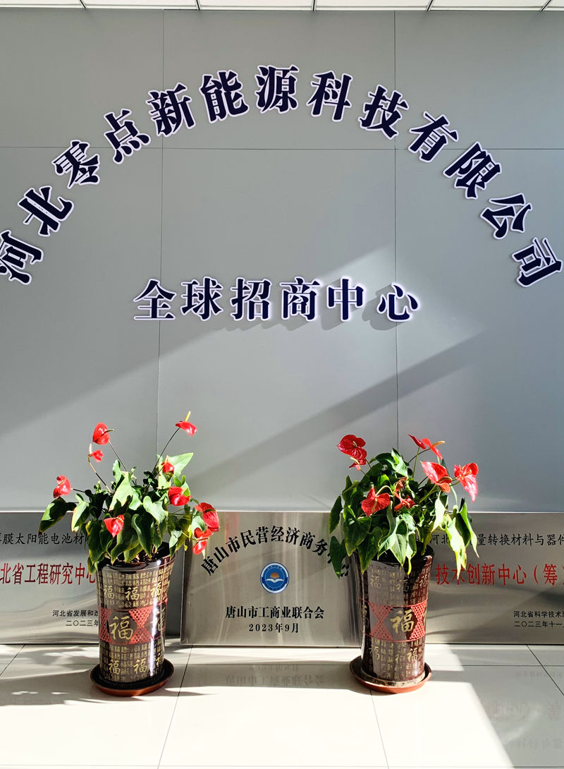 1734183827910817.jpg 14d0eb0f37489a44e918fddb134e618.jpg