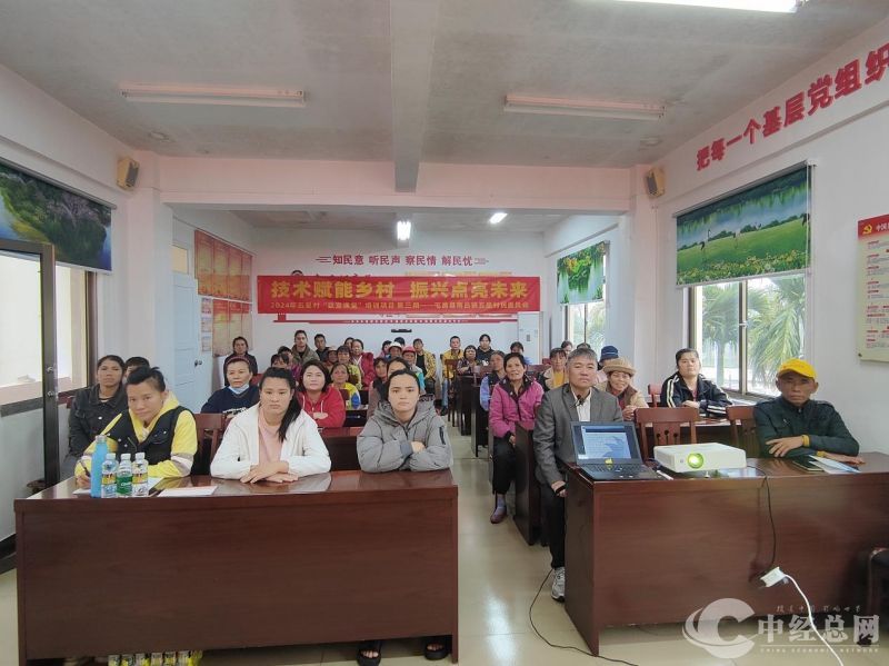 1735392841778700.jpg wps_doc_01.jpg