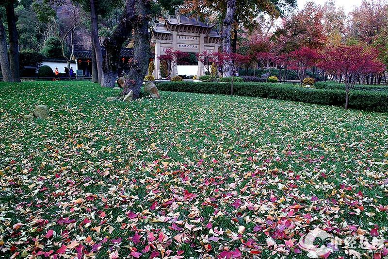 1735401406852188.jpg 2.jpg