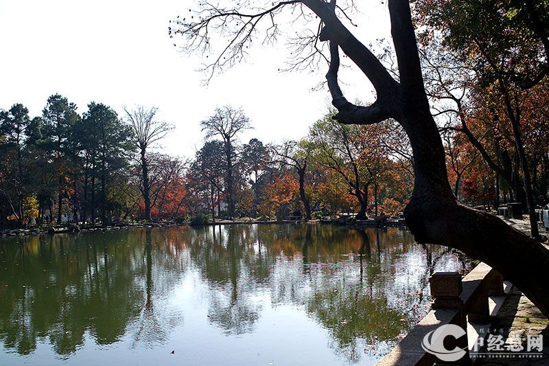 1735401434313963.jpg 4.jpg