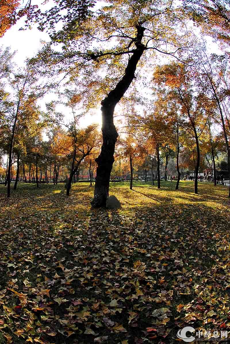 1735401483142544.jpg 8.jpg