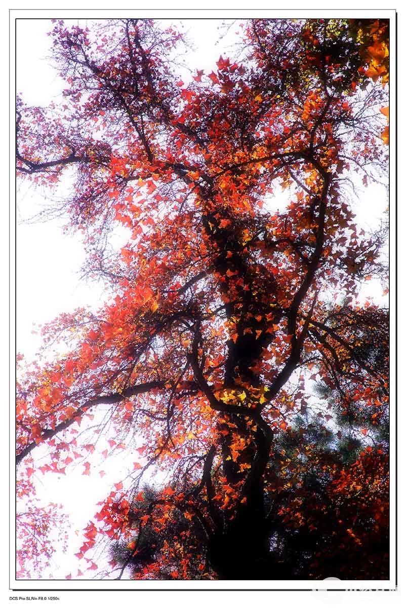 1735401541416665.jpg 11.jpg