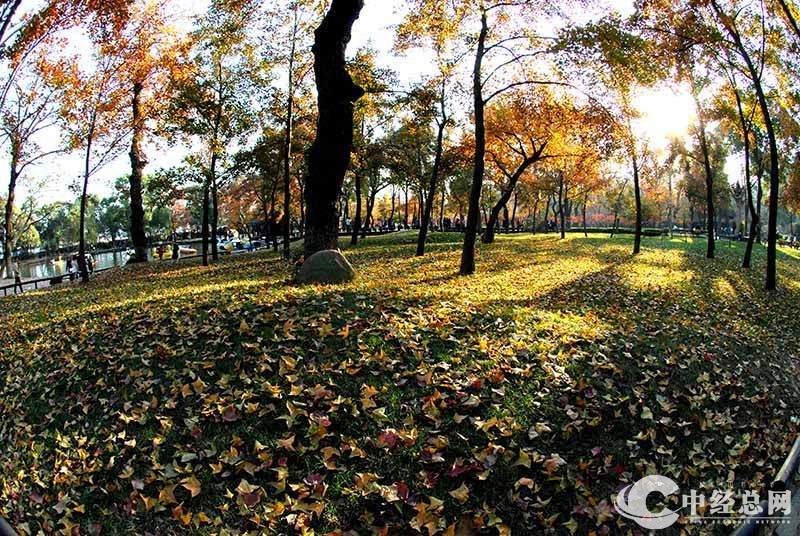 1735401592479471.jpg 12.jpg