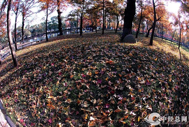 1735401602467804.jpg 13.jpg