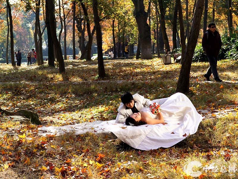 1735401615841596.jpg 14.jpg