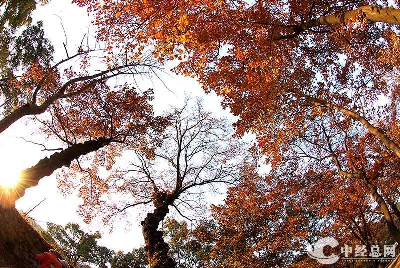 1735401627760942.jpg 15.jpg