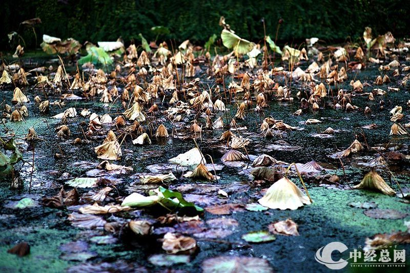 1735401687638697.jpg 20.jpg