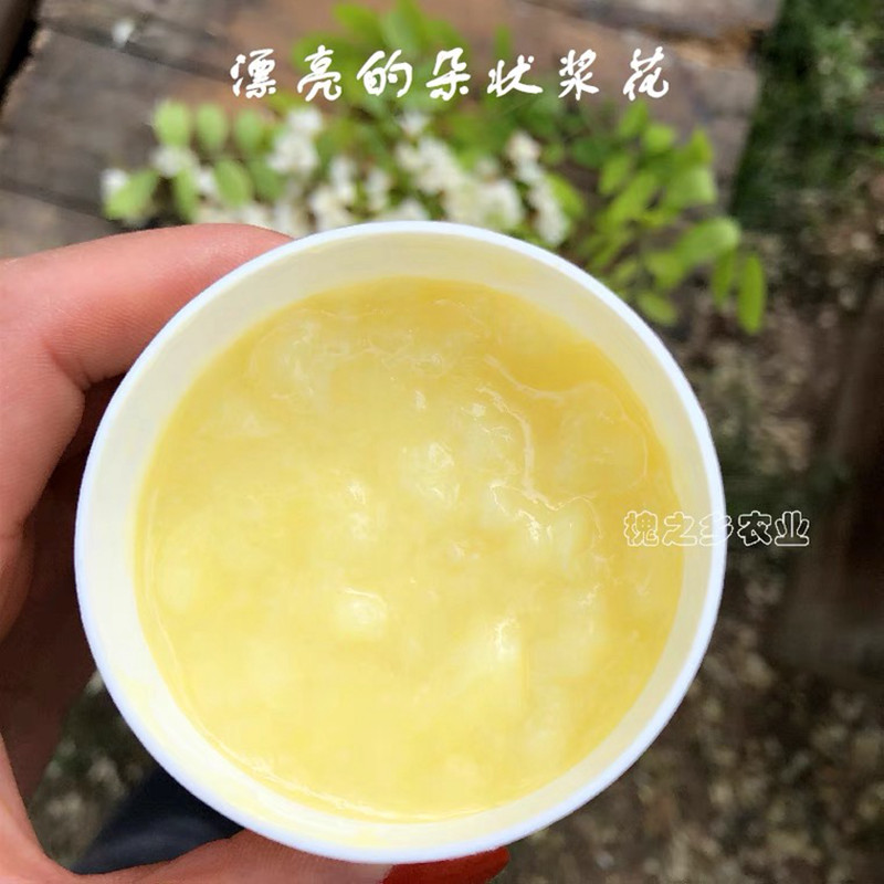 1735525387381549.jpg 27.jpg