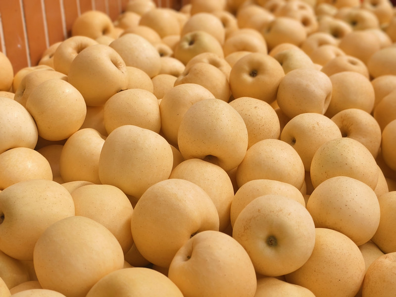 1735525512627923.jpg 7.jpg