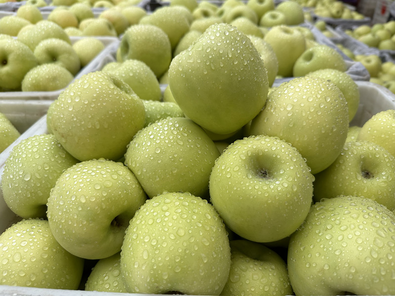 1735525518789647.jpg 8.jpg