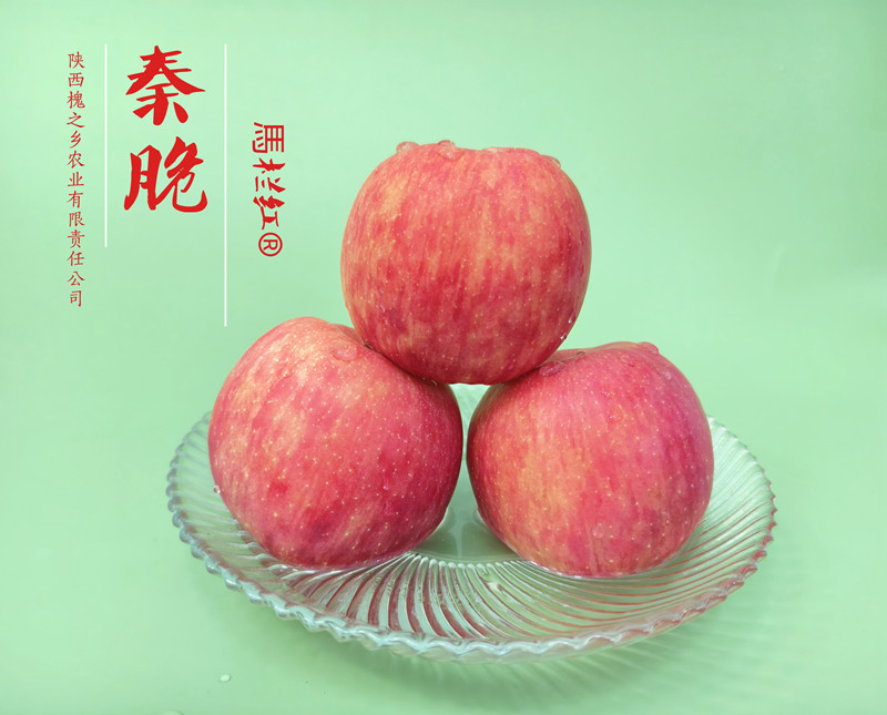 1735525532751445.jpg 14.jpg