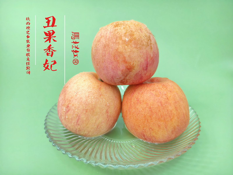 1735525540392848.jpg 15.jpg