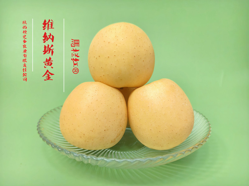 1735525547290741.jpg 16.jpg