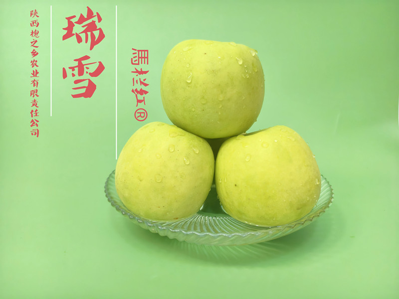 1735525569606903.jpg 17.jpg