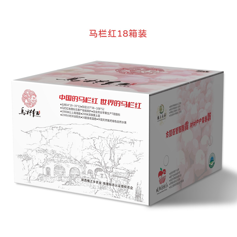 1735525676359941.jpg 18.jpg