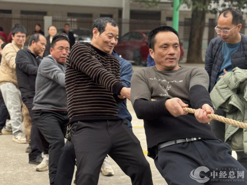 1735735336691396.png 图片3.png