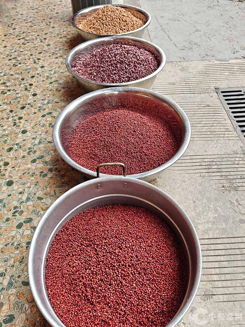 1736086296772101.jpg 5.jpg